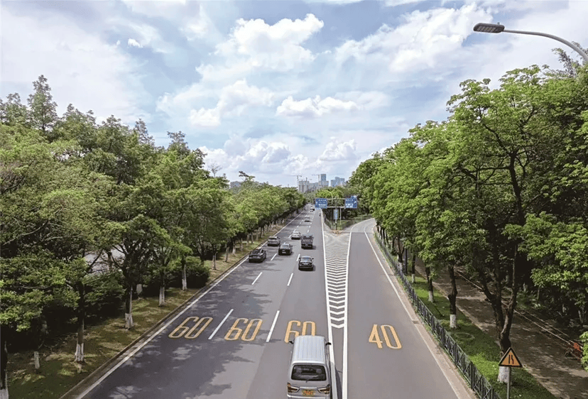 落地番禺房车旅行仪式感拉满pg电子入口综艺同款生活(图5)